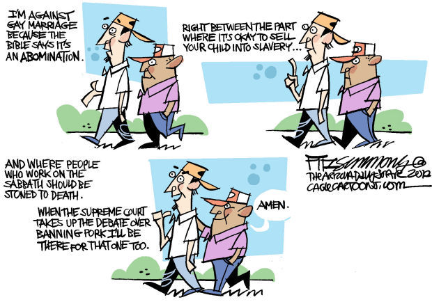 Daily Fitz Cartoon: The case against gay marriage